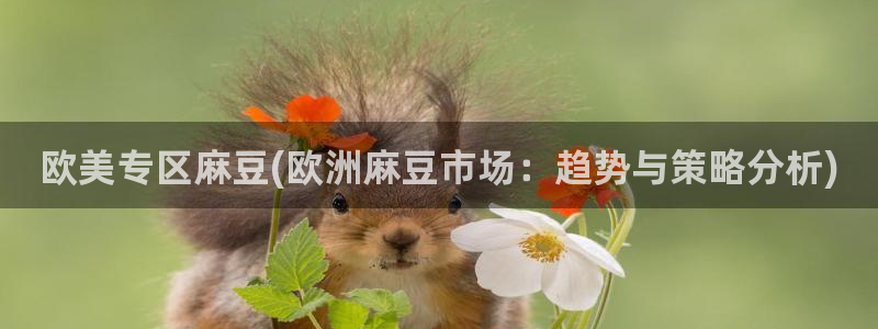 麻豆精品：欧美专区麻豆(欧洲麻豆市场：趋势与策略分析)