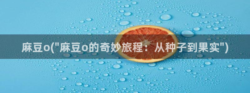 91蜜桃麻豆专区