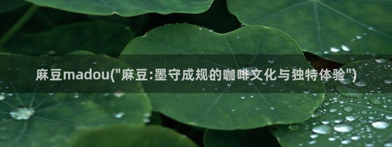 麻豆观看：麻豆madou(\