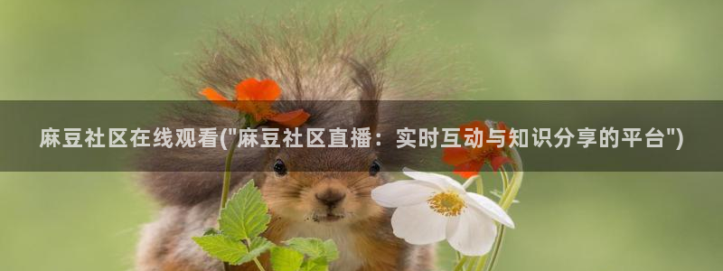 在线麻豆：麻豆社区在线观看(\