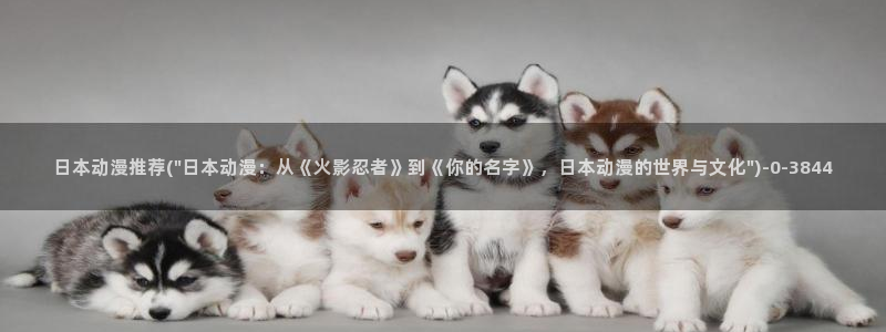 风车动漫在线看