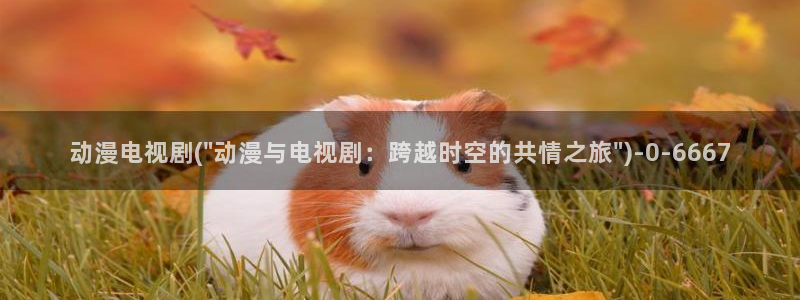 动漫排行榜