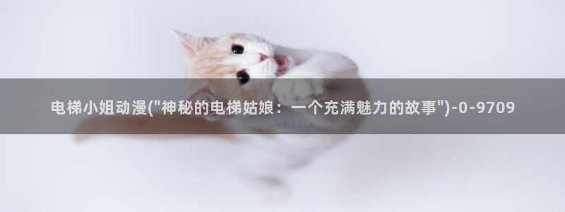 动漫