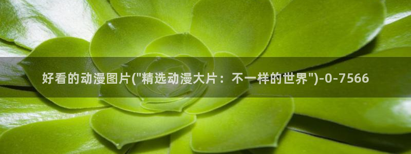 动漫肉片